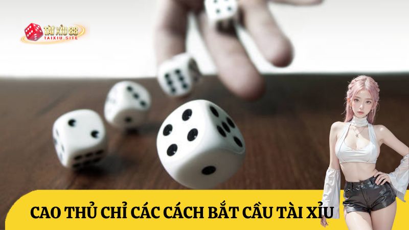 Cao thủ chỉ cách bắt cầu tài xỉu chính xác tới 93%. Hướng dẫn soi cầu tài xỉu chi tiết